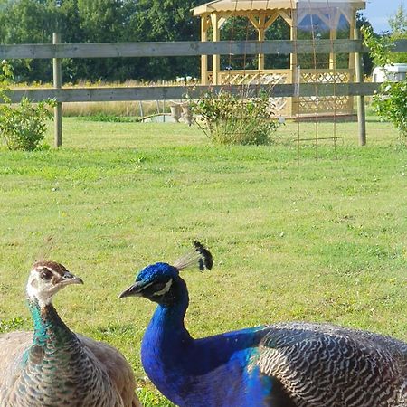 Bed and Breakfast La Ferme De Lec'H Hameury Plestin-les-Grèves Esterno foto
